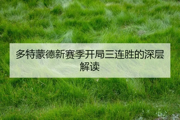多特蒙德新赛季开局三连胜的深层解读